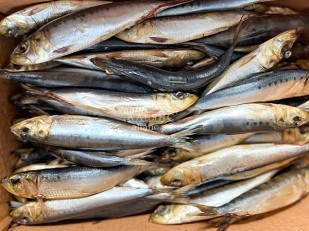 Чипсы из лаваша: Сельдь Иваси х\к