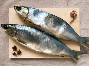 Каталог продукции: Сиг вяленый